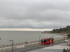 -野狸岛