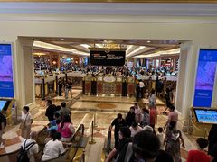 -澳门威尼斯人综合度假区