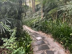 -青城道汤池
