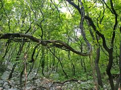 -锦屏山旅游度假区
