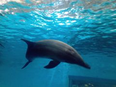 -波塞冬旅游度假区