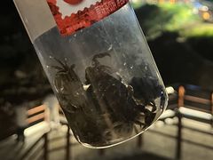 -燕儿岛山公园