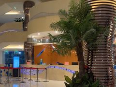 -南宫温泉水世界