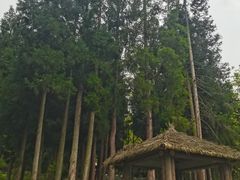 -硗碛藏寨·神木垒景区