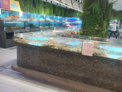水产区-宝燕海鲜(好爱店)