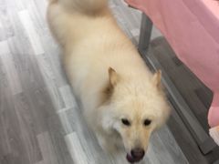 -肆兮眼镜·蔡司·徕卡战略合作店(大坪店)