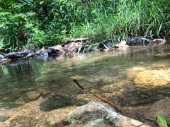 -碓臼峪自然风景区