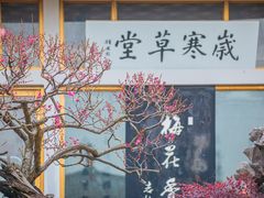 -无锡梅园公园