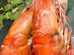 -徐岛主·特色农家乐(阳澄湖莲花岛店)