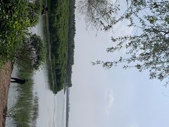 -丁香湖公园