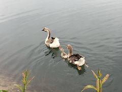 -红跑车HPCBAKERY(汉商店)