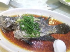 清蒸花斑鱼-茂港柏香(侨港路店)