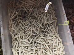 -火咂咂竹筒宴(告庄店)