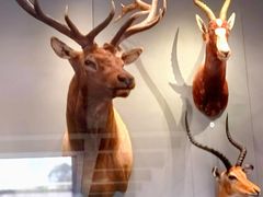 -陕西自然博物馆