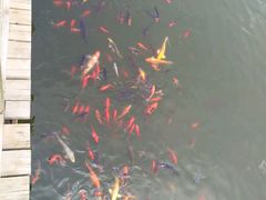 游乐设施-中国唐苑