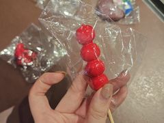 -同仁四季椰子鸡(宝安壹方城店)