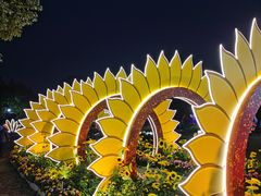 景点-金沙遗址博物馆