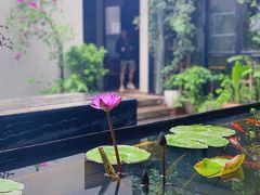 -箱美术馆私房菜(水晶郦城店)