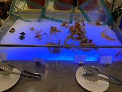 -长春净月潭喜来登酒店·盛宴标帜餐厅