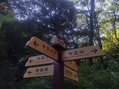 -老象峰