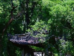 -阿育王寺