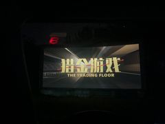 -枫花园汽车电影院(朝阳公园店)