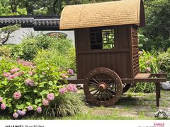 -上海共青森林公园