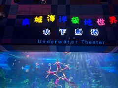-泉城欧乐堡海洋极地世界