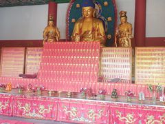 -上海东林寺(金山区)