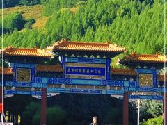 -塞罕坝国家级自然保护区