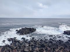 -涉地可支