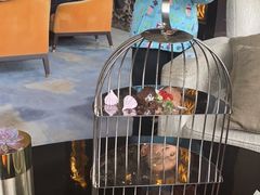 -李沧绿城喜来登酒店大堂吧