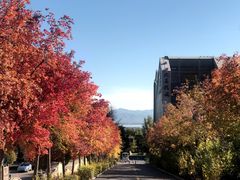 -古崖居风景名胜区