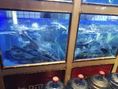 水产区-老阿爸鲜鱼土菜(昆山花桥店)