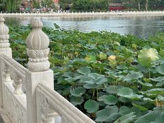 -后海公园