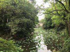 -水绘园