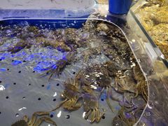 大闸蟹-澜悦港海鲜体验主题餐厅