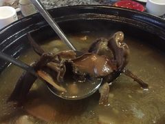 -蘑统田下·野生菌火锅