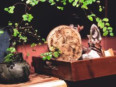 -樹下遇见树·咖啡