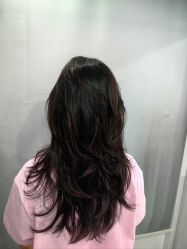 -镁连社·美联社