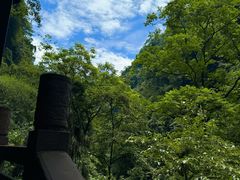 -碧峰峡风景区