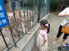 -无锡动物园·太湖欢乐园