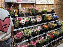 -七鲜超市(瑞虹天地太阳宫店)