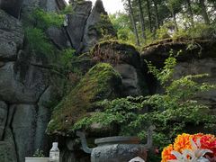 -汤旺河林海奇石景区