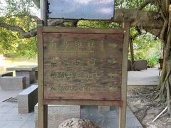 -小洲村