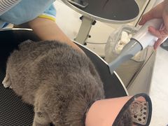 -老吴的猫·猫舍(新区店)