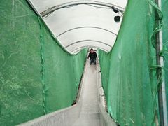 -北辰山景区