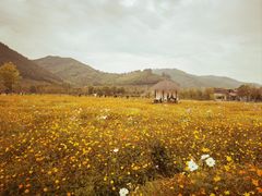 -径山花海