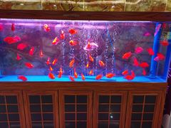 -尊足养生·影院足道·主题spa·采耳(浦江店)