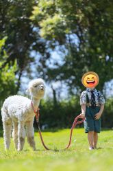 点击看大图 -DORA kids 朵拉儿童摄影花园店